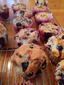 Sour_Cream_Muffins_1